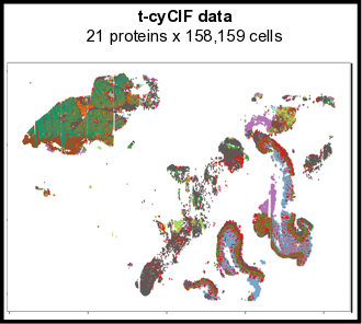 _images/human_cyCIF_PDAC_image_summary.png