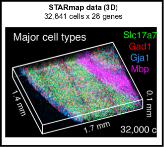 _images/starmap_cortex_image_summary.png