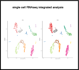 _images/SC_RNAseq_integration.png