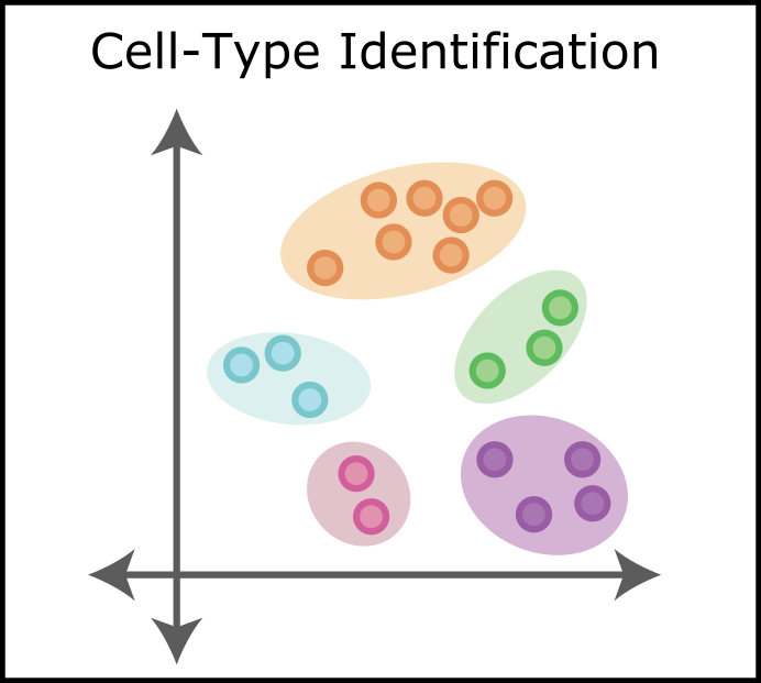 _images/icons_cell_type.png