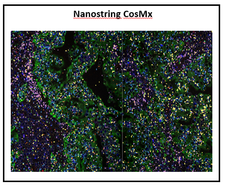 ../../_images/nanostring_overview_icon.png